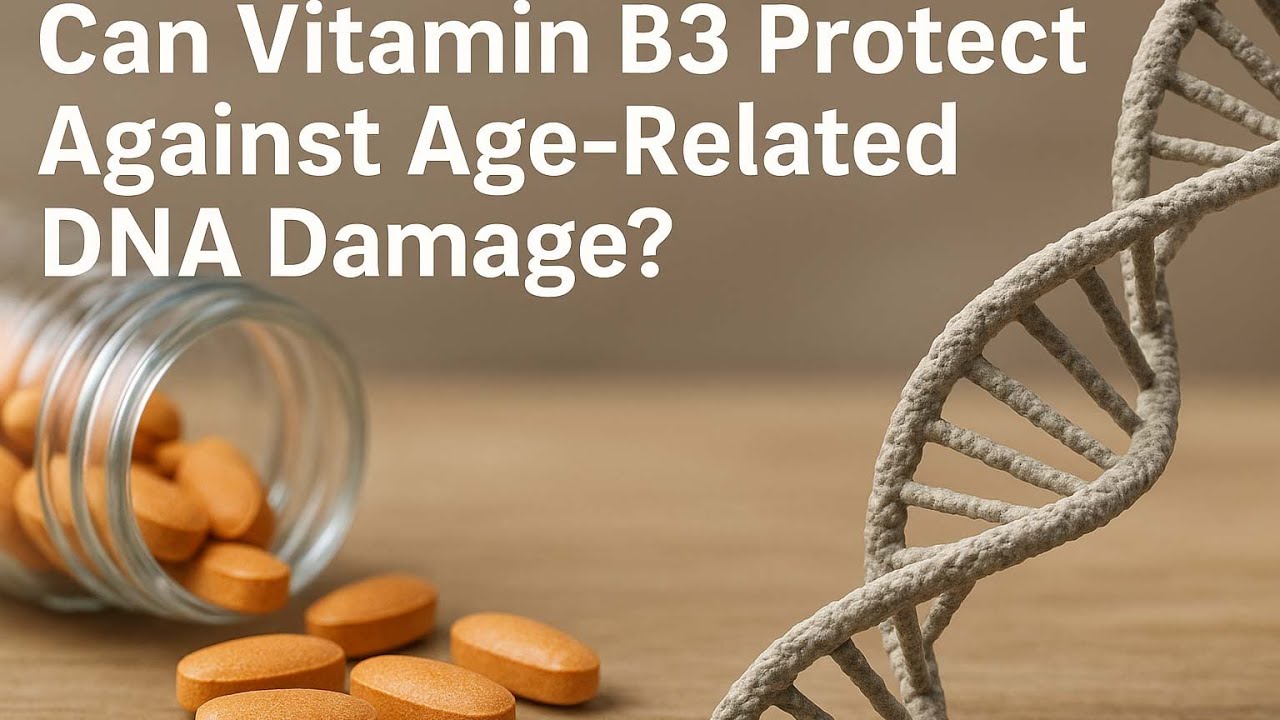 Vitamin B3, NAD⁺, and the Molecular Secrets of Aging