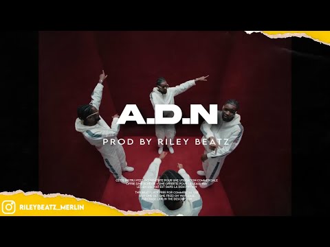 Leto x Guy2Bezbar Type Beat " ADN " // instru Trap 2024 \\ ( Prod. Riley Beatz )