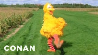 big bird doesn t fly 3