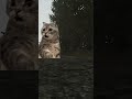 Подкрадулька подкралась #escapefromtarkov #comedy #laugh #streamer #stream #everyday