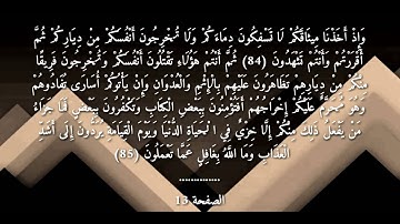 سورة البقرة للقارئ ياسر الدوسري الصفحة رقم(13)