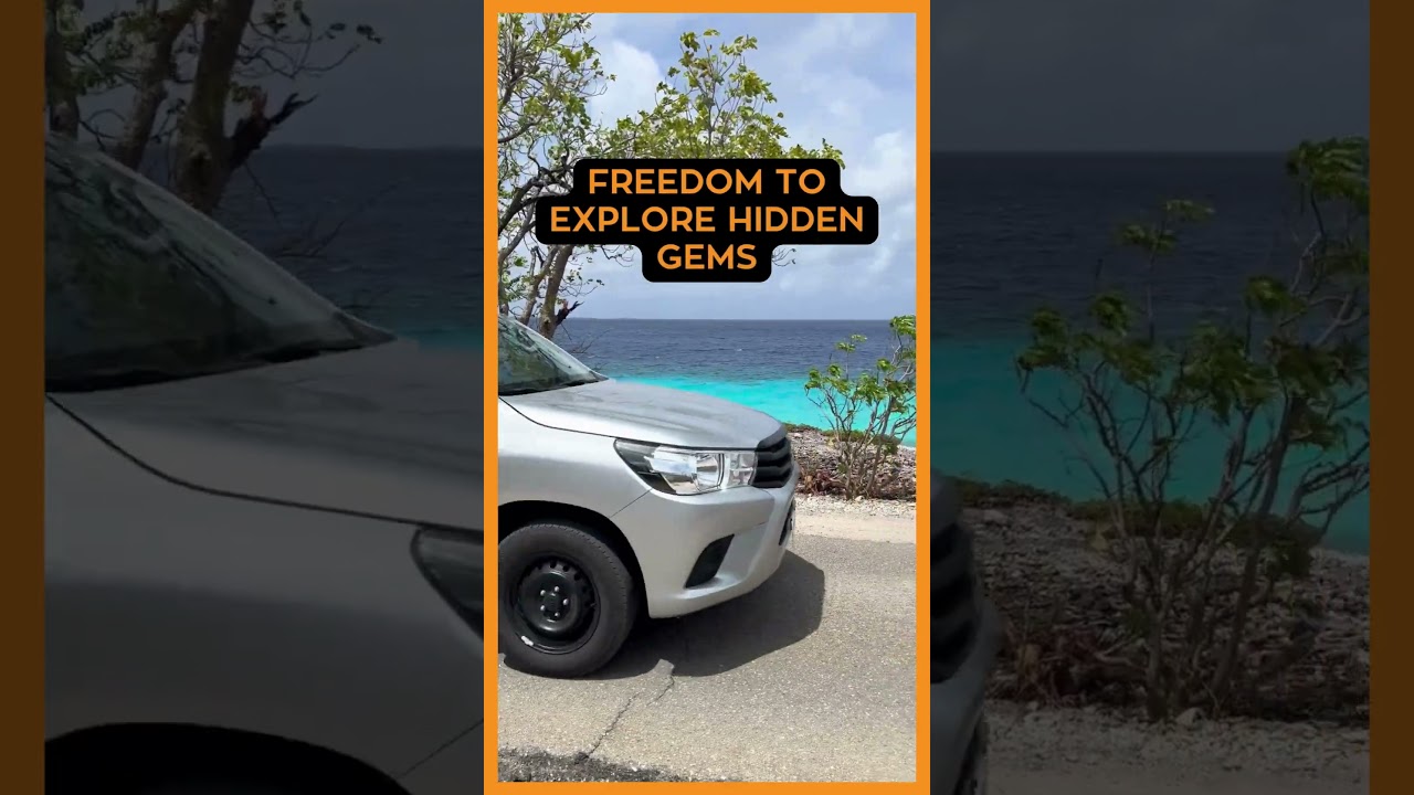 See what you are missing without a rental car - Lake Goto on Bonaire!