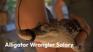 How much money do Alligator Wrangler make?