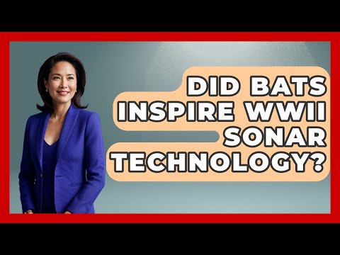 Did Bats Inspire WWII Sonar Technology? - Second World War Files