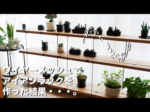 ワイヤーメッシュでアイアンラックを作った結果・・・。/The result of