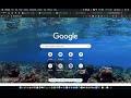 Tool How To Use Grammarly