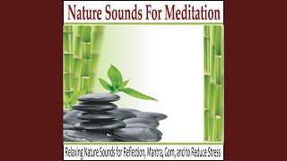Relaxing Rain to Reduce Stress