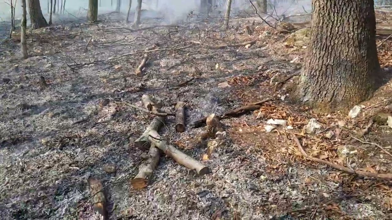 Last Controlled Burn of the Year, and Unexpected Goats Born