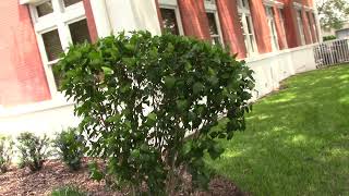 The Pasco County Courthouse, Dade City Net Worth