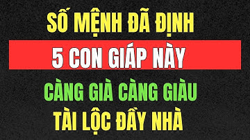 5 Con Giáp Càng Về Già Càng Giàu Có, Tiền Tài Vững Chắc-Tài Lộc Đầy Nhà | Tịnh Y Quán