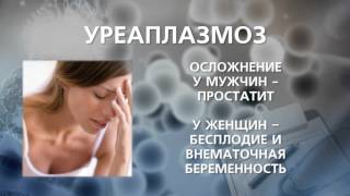 видео Ureaplasma parvum обнаружено - что это значит, ДНК ureaplasma urealyticum parvum обнаружено