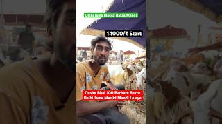 Qasim Bhai 100 Bakre  Jama Masjid Bakra Mandi Aa Gy