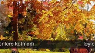 Leylo Leylo ((Tori4772)) Resimi