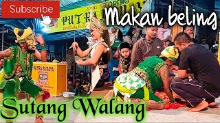 Lengger SUTANG WALANG mendem makan torong || PUTRA BUDAYA Live Tempelsari Kalikajar