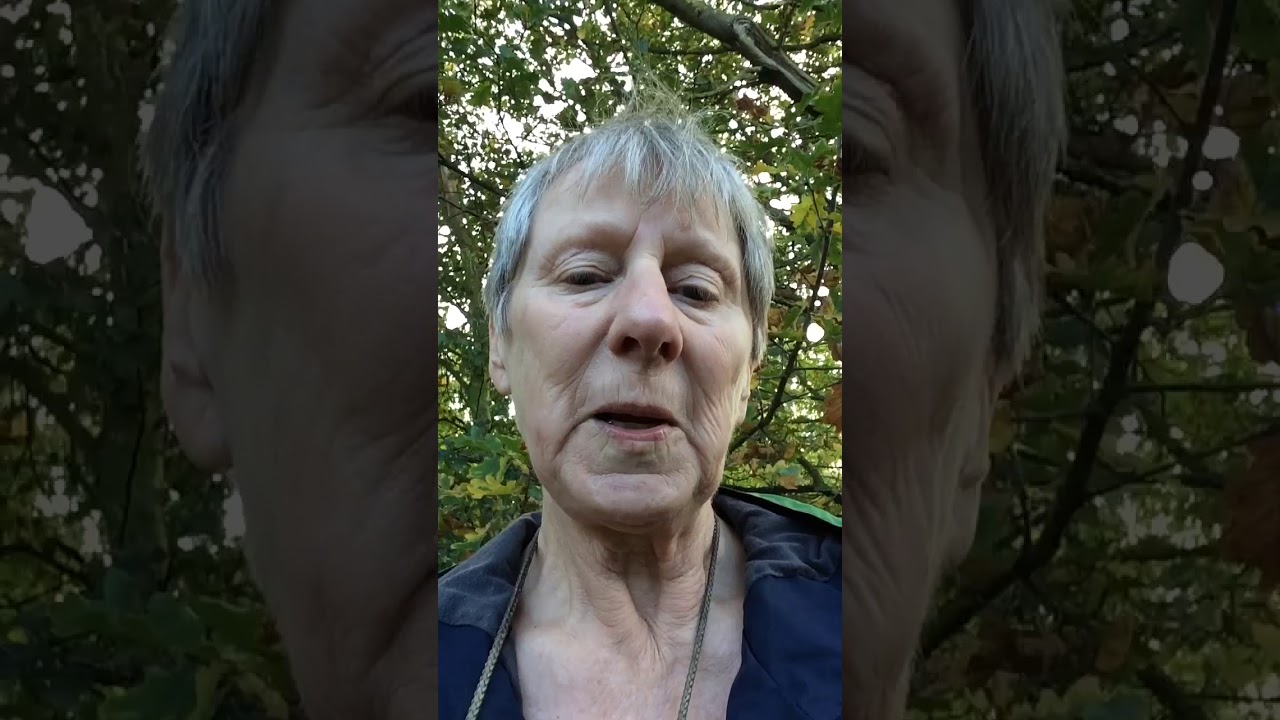 FREE Online Angel Academy Course - Your Star Sign Angels