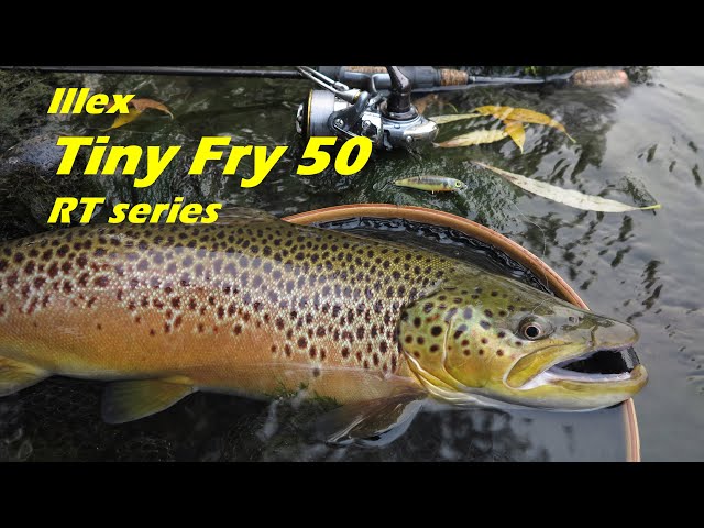 Jackall Leurre à suspendre Tiny Fry 50SP Iwana (3524) – acheter aux petits prix dans la boutique en ligne