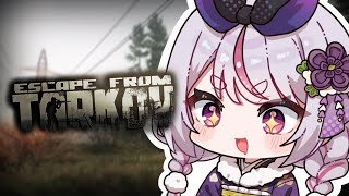 兎咲ミミの配信のサムネイル画像