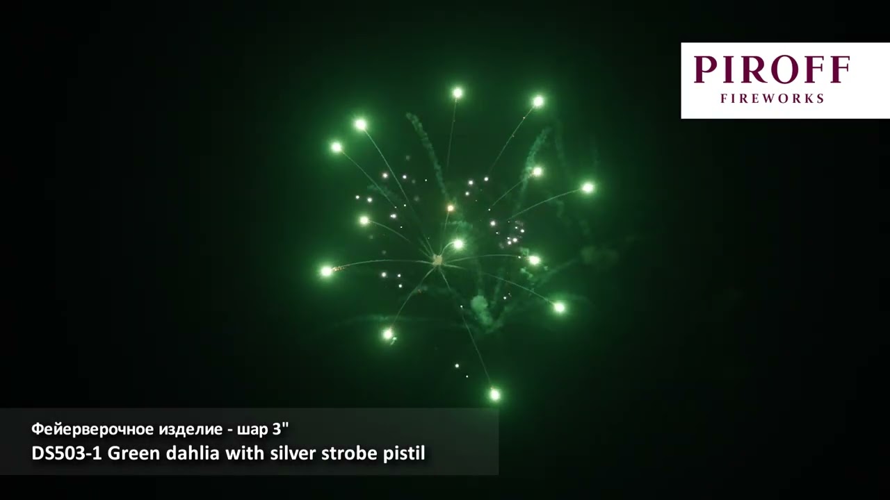 DS503 1 Green dahlia with silver strobe pistil