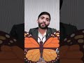 إِنَّا هَدَيْنَاهُ السَّبِيلَ إِمَّا شَاكِرًا وَإِمَّا كَفُورًا