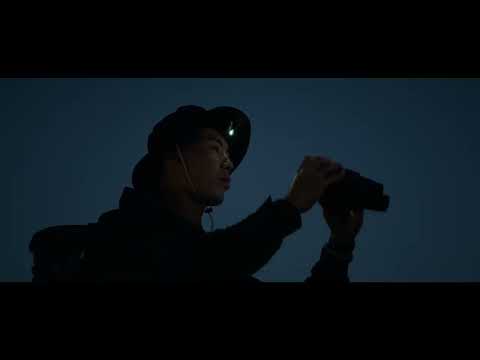 YASHICA Vision: Complete Review & Real World Test