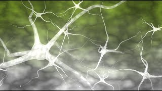 Priya Personal Fertility System, By Prima-Temp - The New Gold Standard For Ovulation Prediction