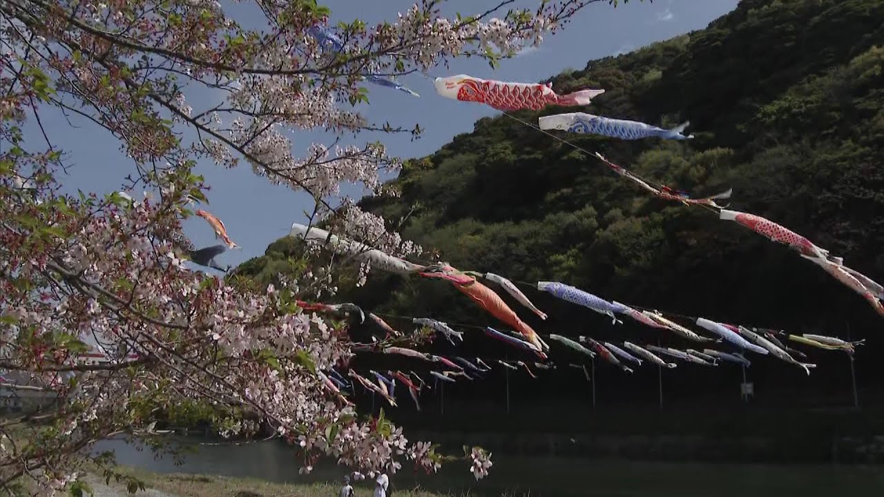 Approximately 600 carp streamers 