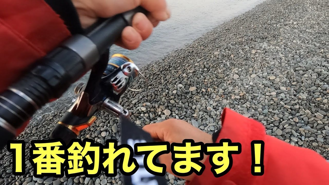 【1番釣れてます】着いてすぐに釣れる今1番アツい場所はここです！【ショアジギング/飲ませ釣り】