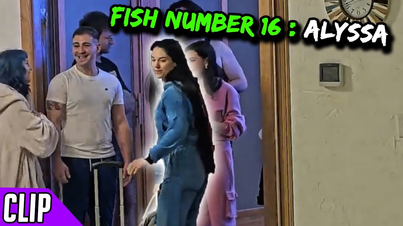 Meet Alyssa | Fishtank Season 3 | Day 29 - YouTube