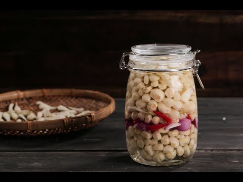 Video Ngâm Củ Kiệu Chua Ngọt Truyền Thống Dành Cho Ngày Tết... - youtube
