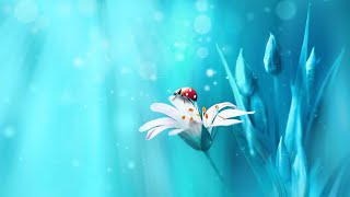 Beautiful Soothing Piano Music - Ladybug Meadow
🎵 Buy Anime Tales II here :
Apple Music : https://music.apple.com/us/album/anime-tales-ii-ep/1571500883
Bandcamp : https://dbfiechter.bandcamp.com/album/anime-tales-ii
Amazon mp3 : https://www.amazon.com/gp/product/B096WDGNHD
🎧 Listen to Anime Tales II on Spotify and Pandora:
Spotify: https://open.spotify.com/album/1ocCA1kDAtUQahV06qSQJg
Pandora: https://www.pandora.com/artist/derek-fiechter-and-brandon-fiechter/anime-tales-2/ALkKhZKnqbtJXPc
***
Beautiful relaxing piano music about a peaceful meadow where ladybugs live. This music is called Ladybug Meadow. We hope you enjoy listening to it!
***
This beautiful ladybug picture was done by LedyX.
https://www.shutterstock.com/image-photo/surprisingly-beautiful-soft-elegant-white-flower-1411200614
The album artwork for Anime Tales II is from Igorzh on Shutterstock.
https://www.shutterstock.com/image-photo/full-moon-party-background-night-sky-212152264
#beautifulmusicforrelaxation #soothingpiano #relaxingpianomusic #piano #relaxing #music #ladybug #soothingrelaxation #pianomusic #beautifulmusic
~ Music by Brandon Fiechter ~ Beautiful Soothing Piano Music - Ladybug Meadow
