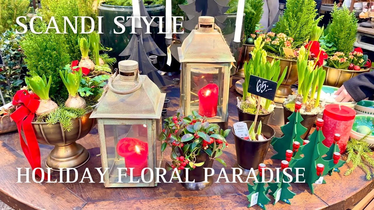 САМАЯ КРАСИВАЯ Флористическая Оранжерея Стокгольма Готовится к Рождеству!