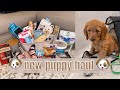NEW PUPPY HAUL 2021| Everything I bought for my goldendoodle puppy 🐾