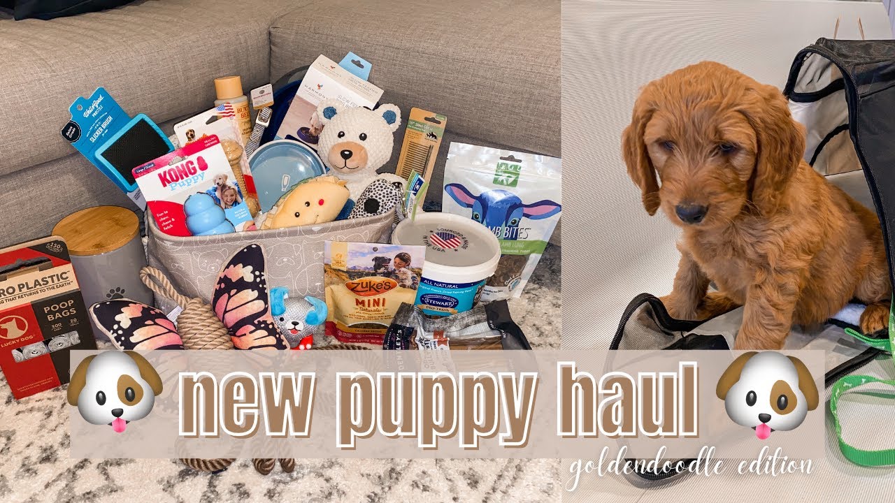 NEW PUPPY HAUL 2021| Everything I bought for my goldendoodle puppy š¾