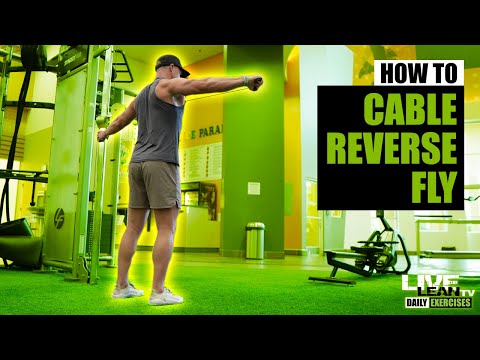 How To: Standing Single Arm Cable Reverse Fly