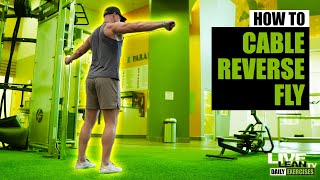 Famous How To: Standing Single Arm Cable Reverse Fly Net Worth