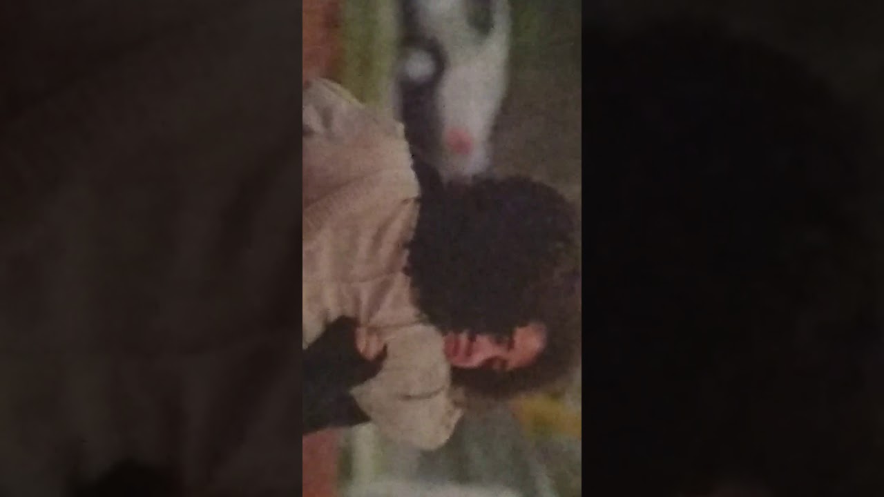 Girl fight cash doll vs Bali baby hoodrich Pablo I got