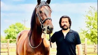 Kemale Amed “Ali Şer Û Seyit Rıza