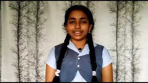 Pythagorean Theorem Day