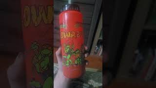 tmnt vintedge water bottle