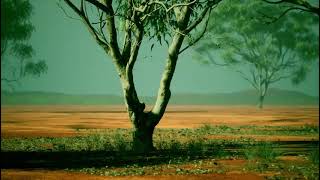 Gum Arabic Wonders Importance Of Gum Arabic Natural Ingredients