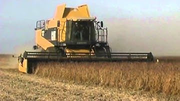 Growing Soybeans - Part 1 - Choosing A Variety