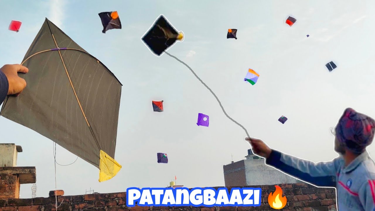 *Patangbaazi* 🔥 Kite Flying Kite Cutting Kite Fighting Cutting