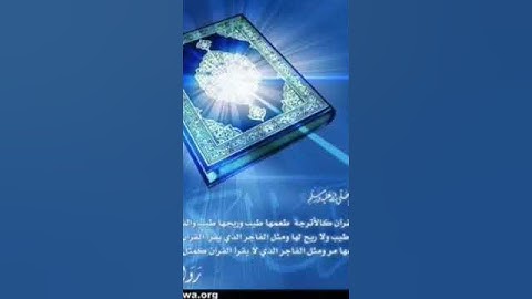 سورة الفاتحة بصوت الشيخ أنس الغامدي
