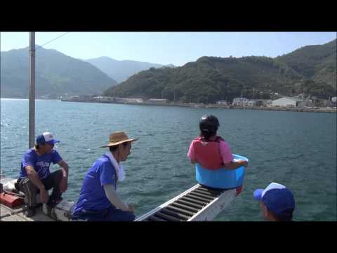 これが噂の人間が滑るカーリング