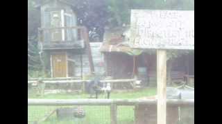 Vala's Pumpkin Patch Pigtucky Derby