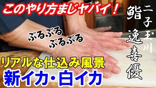 【鮨屋の仕込み】新イカ・白イカ～驚きの職人技～