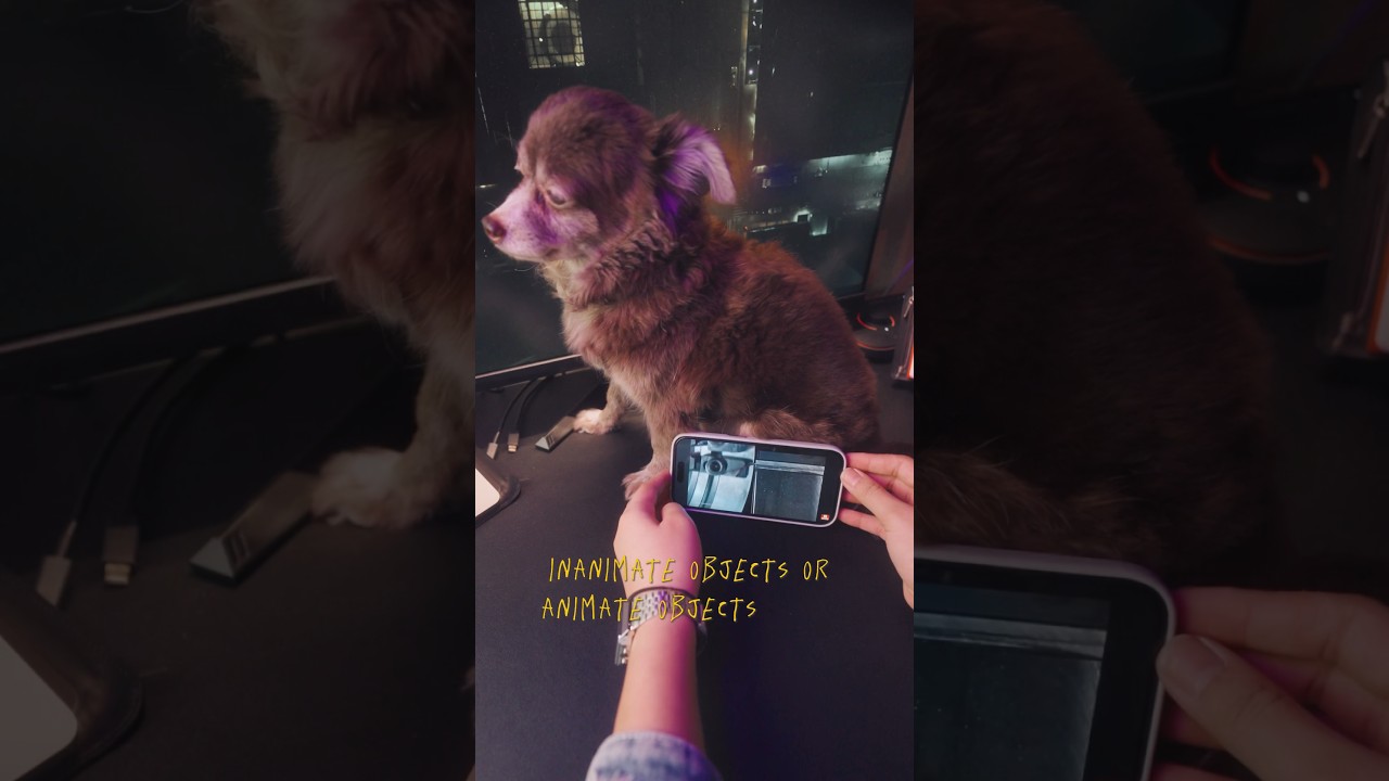 A must have on my phone! Can't go out the house without it. 