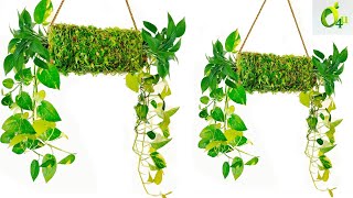 Unique Hanging Planter Idea/Amazing Hanging Planter Making At Home/Garden Ideas For Home/GARDEN4U