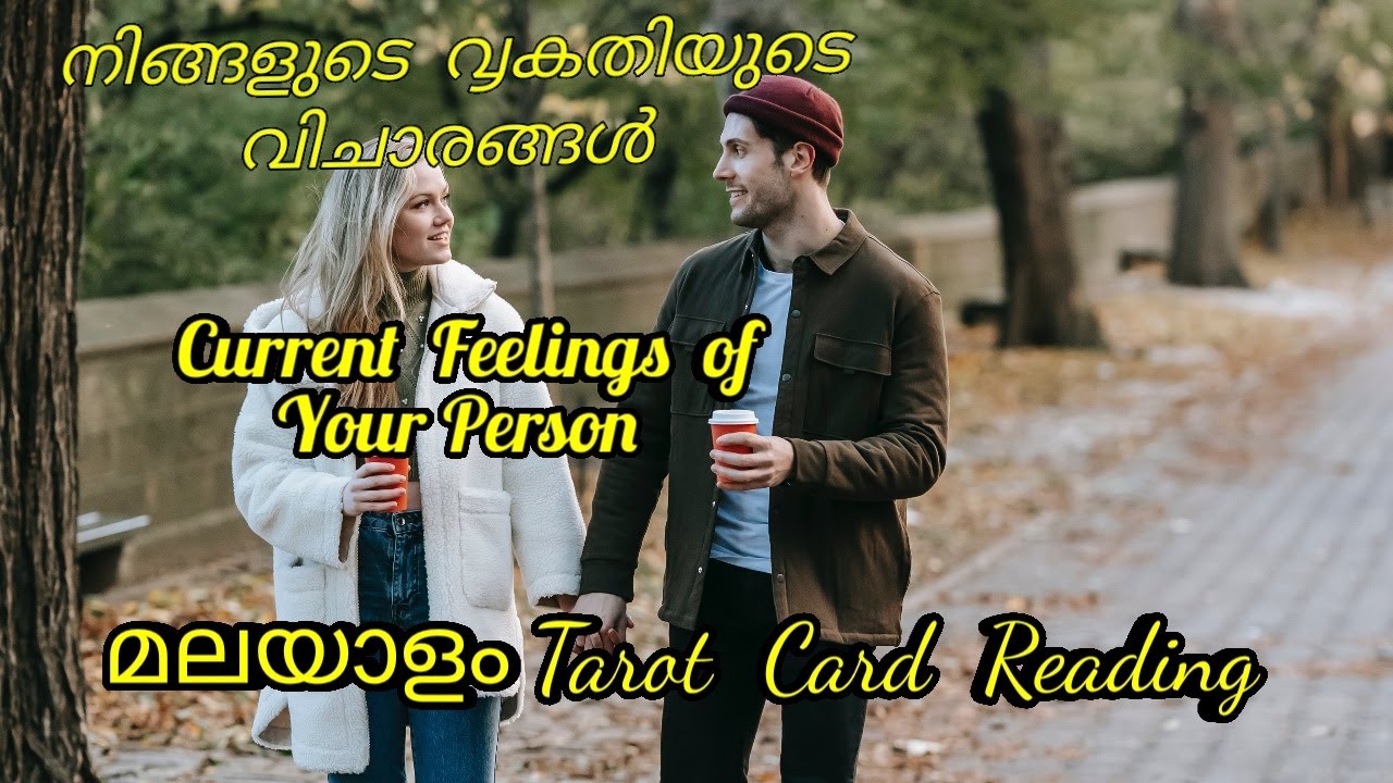 Malayalam Tarot Card Reading Current feelings of your person. YouTube