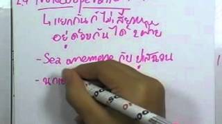 ormBio 031 : ระบบนิเวศน์และประชากรศาสตร์ ,ตอน02